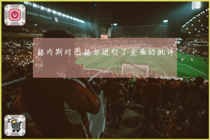 赫内斯对图赫尔进行了全面的批评