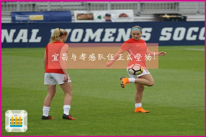 宜昌与孝感队伍正式登场！